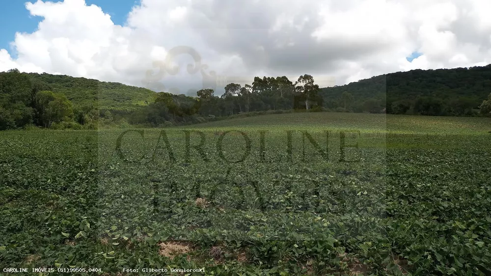 Fazenda à venda, 213000m² - Foto 7