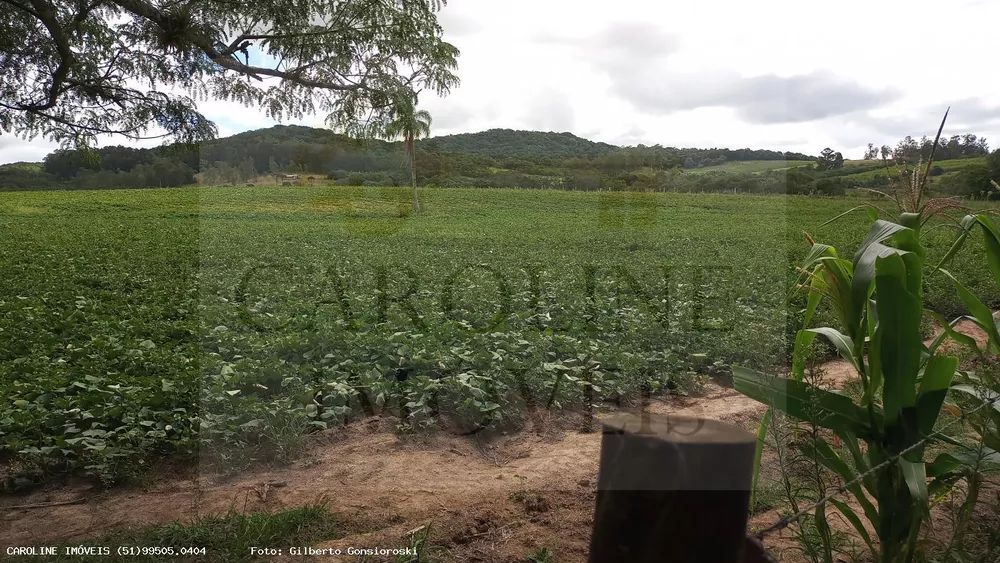 Fazenda à venda, 213000m² - Foto 14