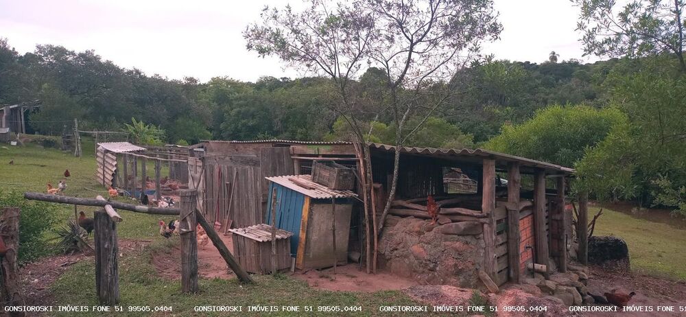 Chácara, 2 quartos, 2 hectares - Foto 4