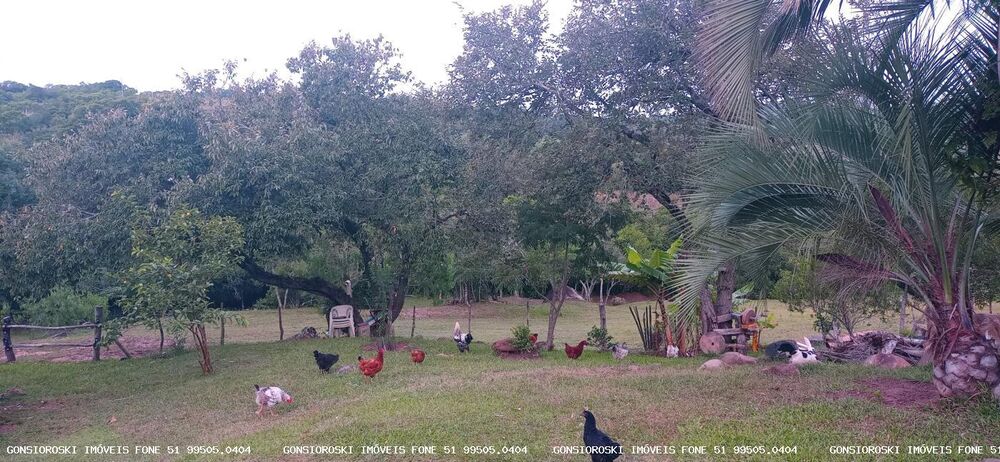 Chácara, 2 quartos, 2 hectares - Foto 3