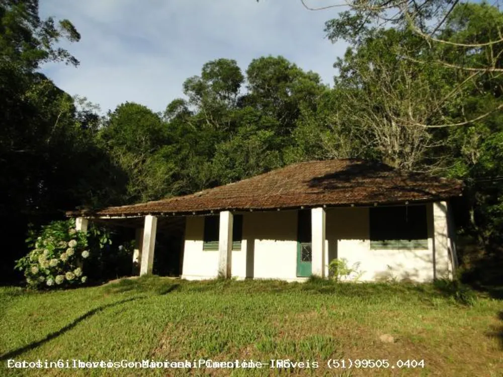 Sítio, 3 hectares - Foto 1