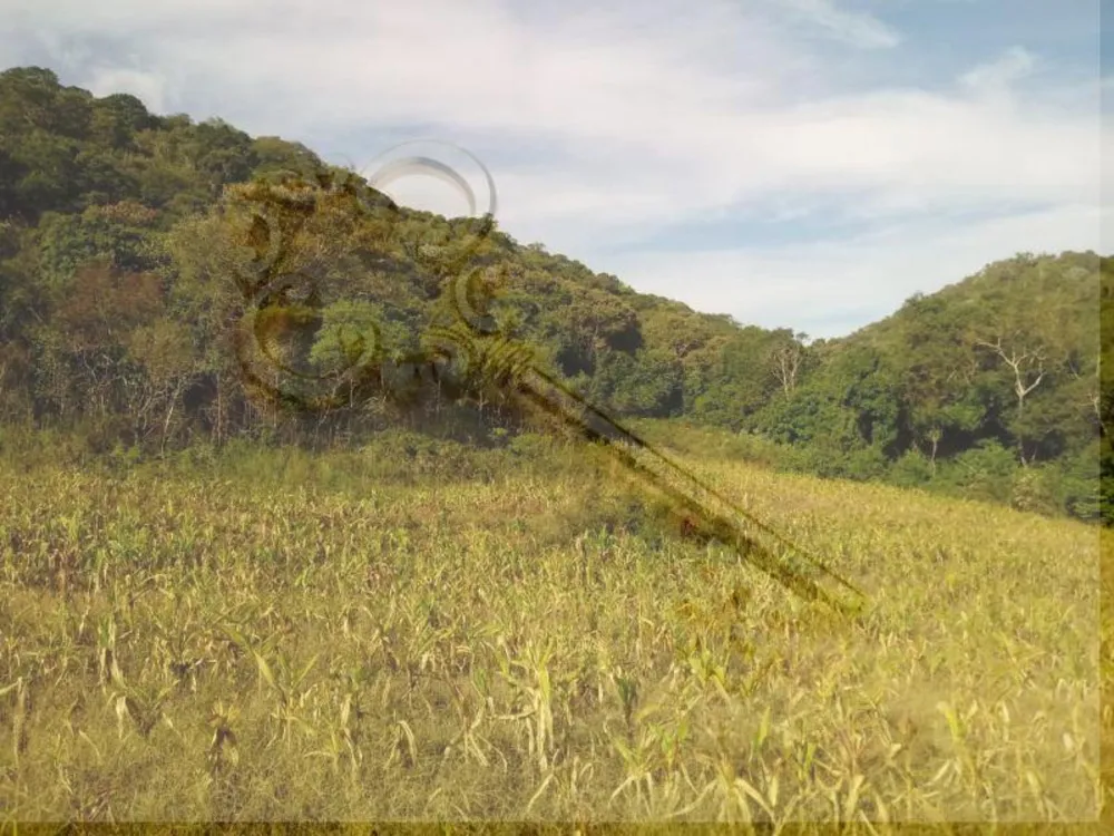 Loteamento e Condomínio, 13 hectares - Foto 7