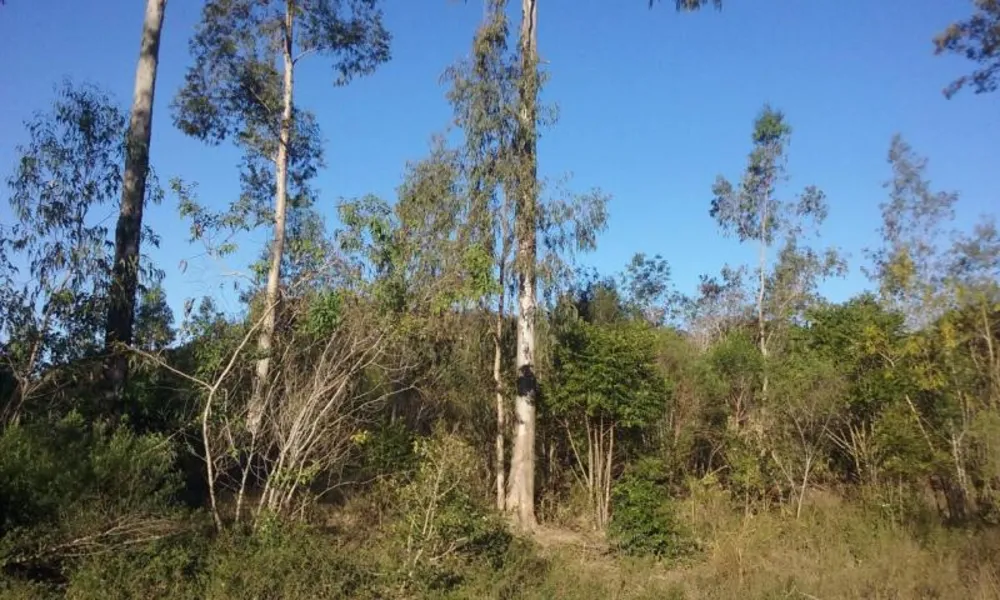Loteamento e Condomínio, 11 hectares - Foto 2