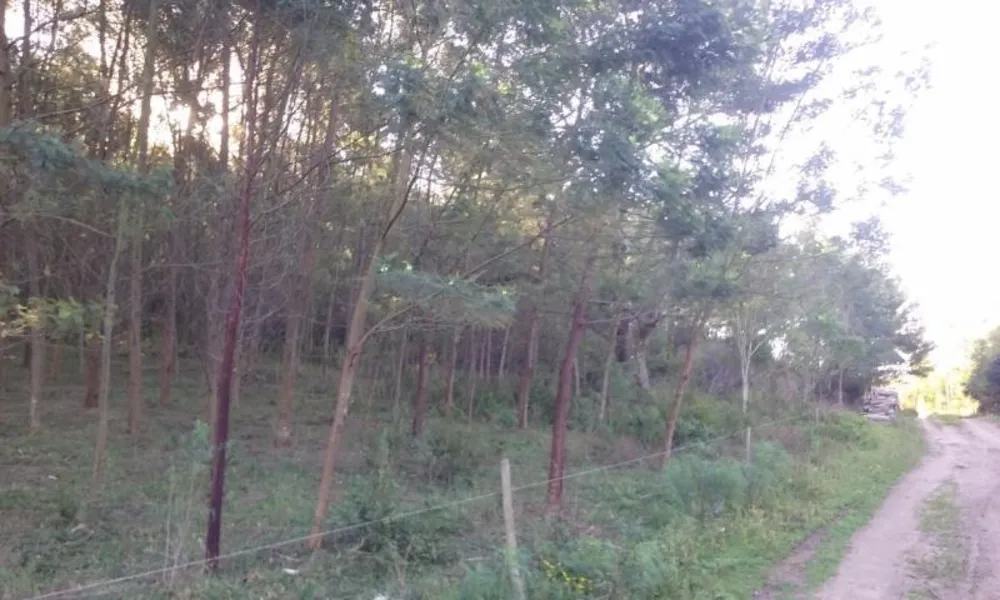 Loteamento e Condomínio, 11 hectares - Foto 2