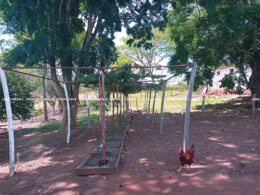 Chácara, 6 quartos, 6459 m² - Foto 10