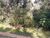 Terreno, 5625 m² - Foto 4