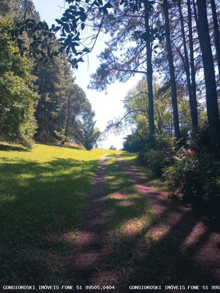 Fazenda, 80 hectares - Foto 1
