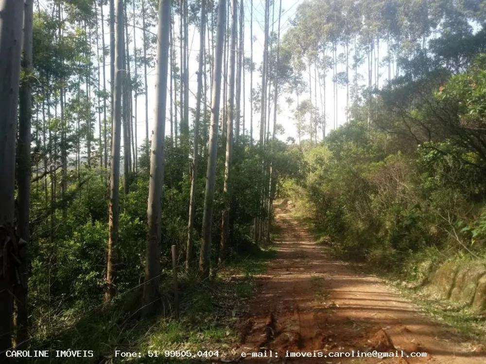 Loteamento e Condomínio, 9 hectares - Foto 4