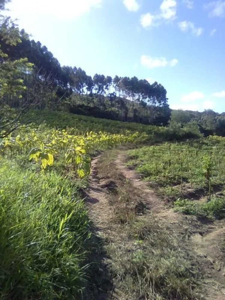 Loteamento e Condomínio, 9 hectares - Foto 3