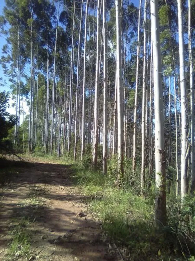 Loteamento e Condomínio, 9 hectares - Foto 2