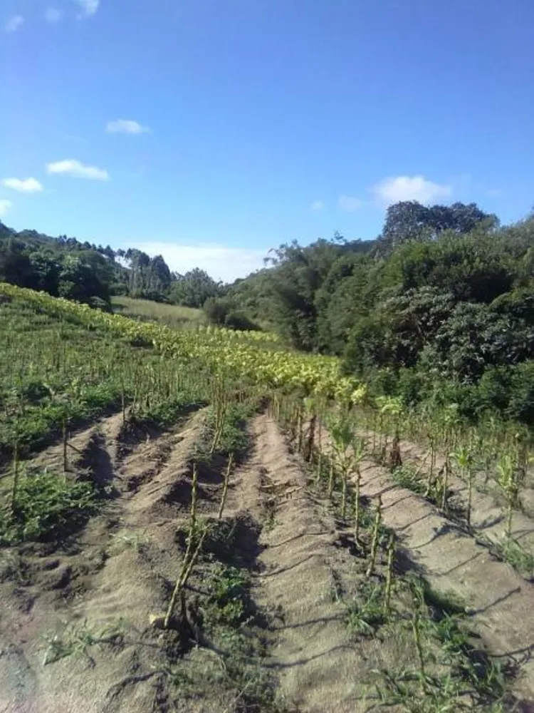 Loteamento e Condomínio, 9 hectares - Foto 1