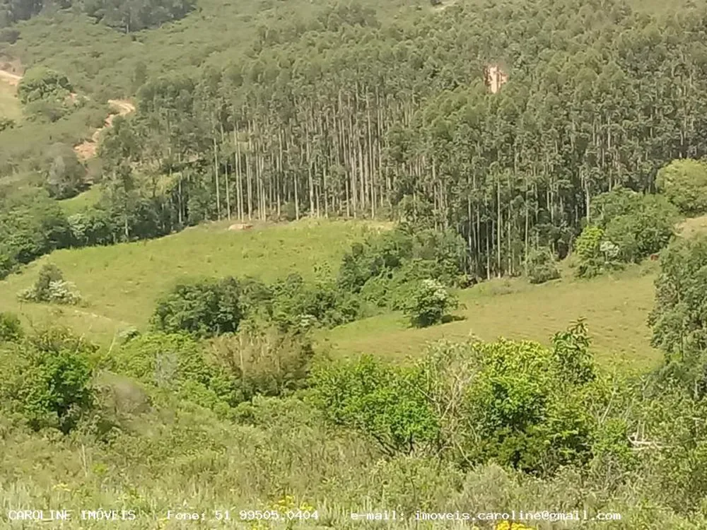 Loteamento e Condomínio, 9 hectares - Foto 2