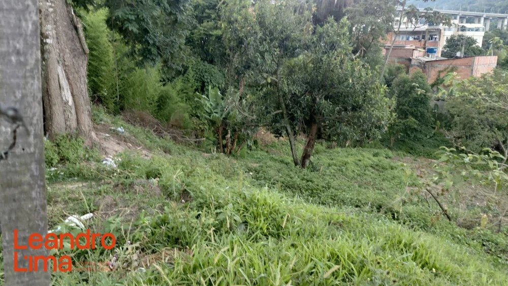 Terreno, 1540 m² - Foto 3