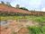 Terreno, 2508 m² - Foto 1