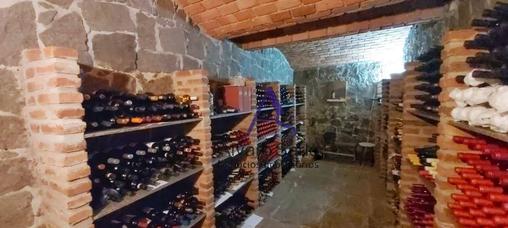 Casa, 4 quartos, 590 m² - Foto 12