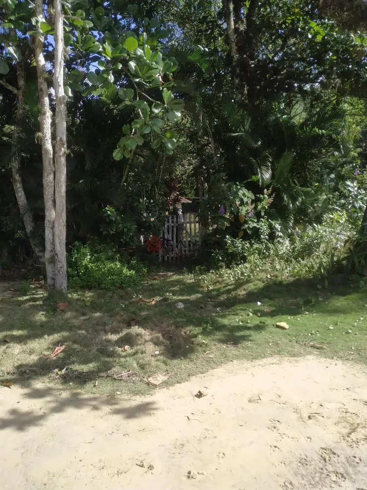 Terreno, 7 hectares - Foto 7