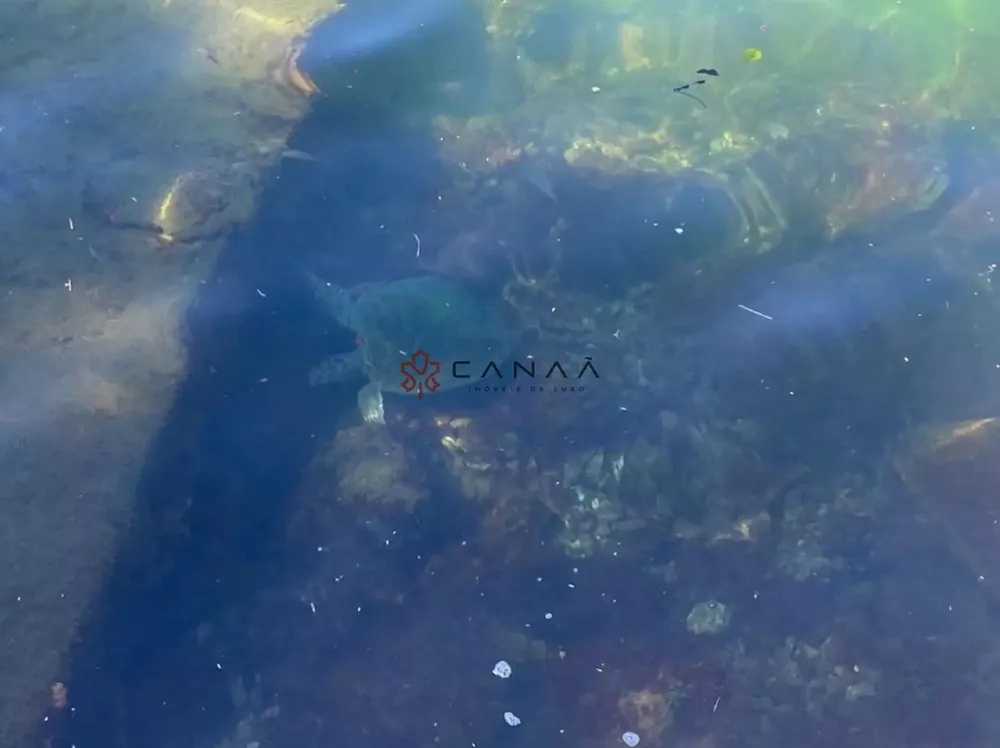 Casa de Condomínio, 6 quartos - Foto 52