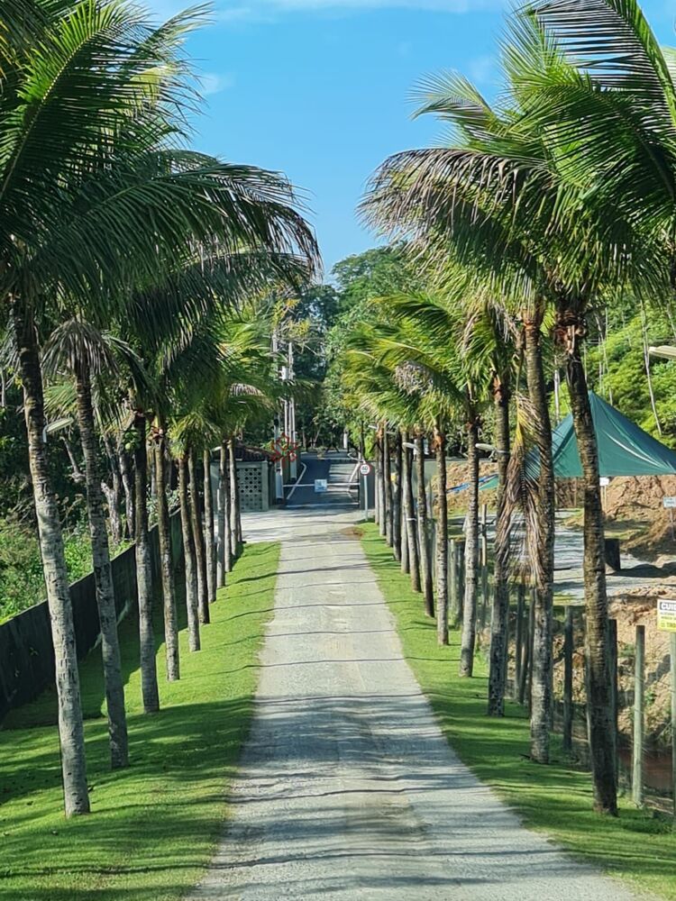 Terreno, 1701 m² - Foto 17