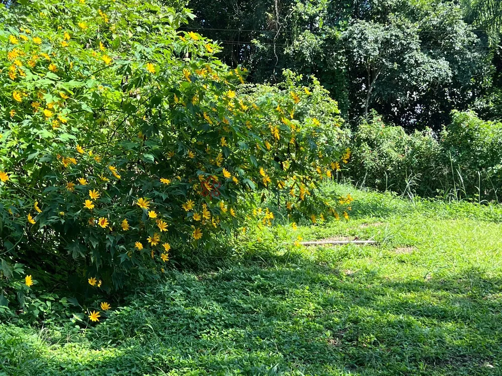 Casa, 3 quartos, 300 m² - Foto 24