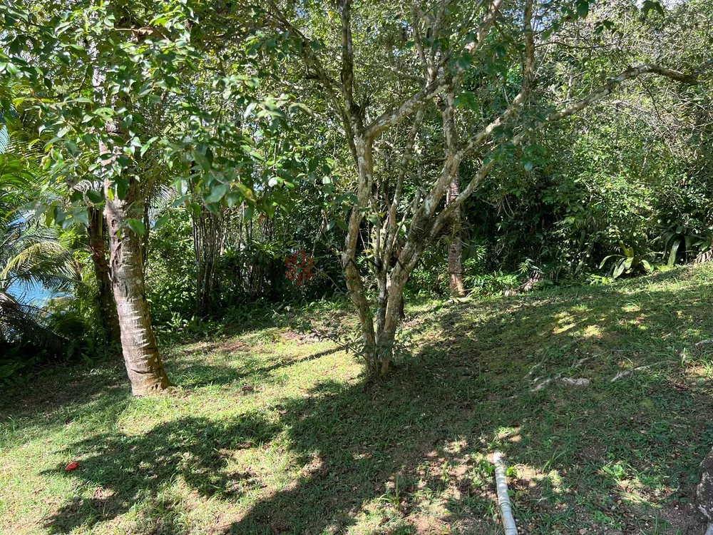 Casa, 3 quartos, 300 m² - Foto 22