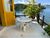 Casa, 3 quartos, 300 m² - Foto 29