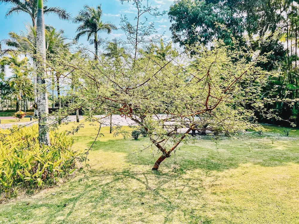 Casa de Condomínio, 7 quartos - Foto 50
