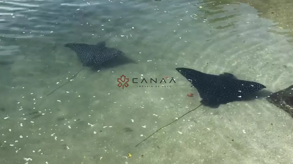 Casa, 5 quartos, 600 m² - Foto 4