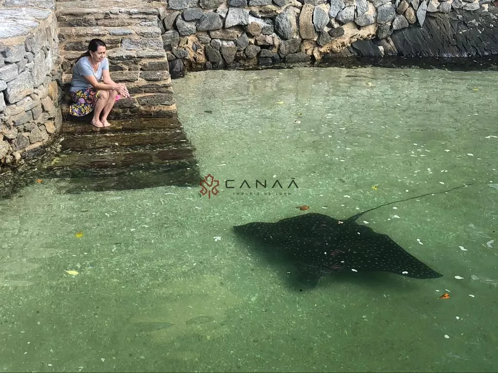 Casa, 5 quartos, 600 m² - Foto 15