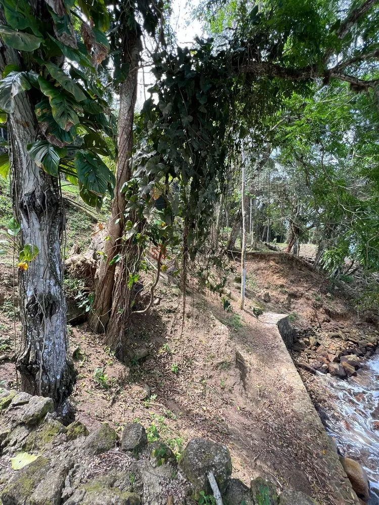 Terreno, 2 hectares - Foto 11