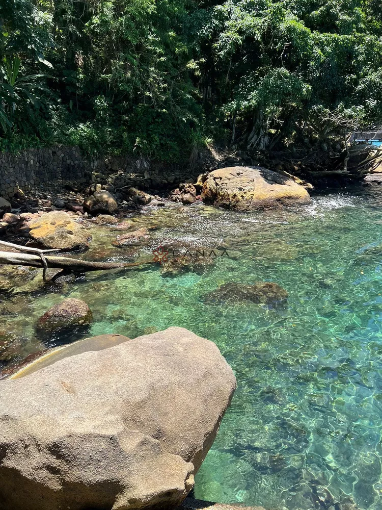 Terreno, 2 hectares - Foto 19