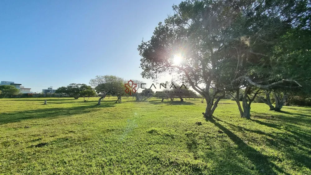 Fazenda, 136000 hectares - Foto 4