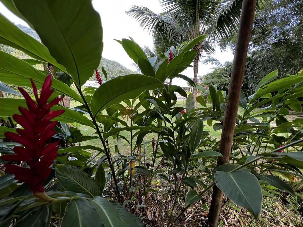 Casa de Condomínio, 5 quartos - Foto 33