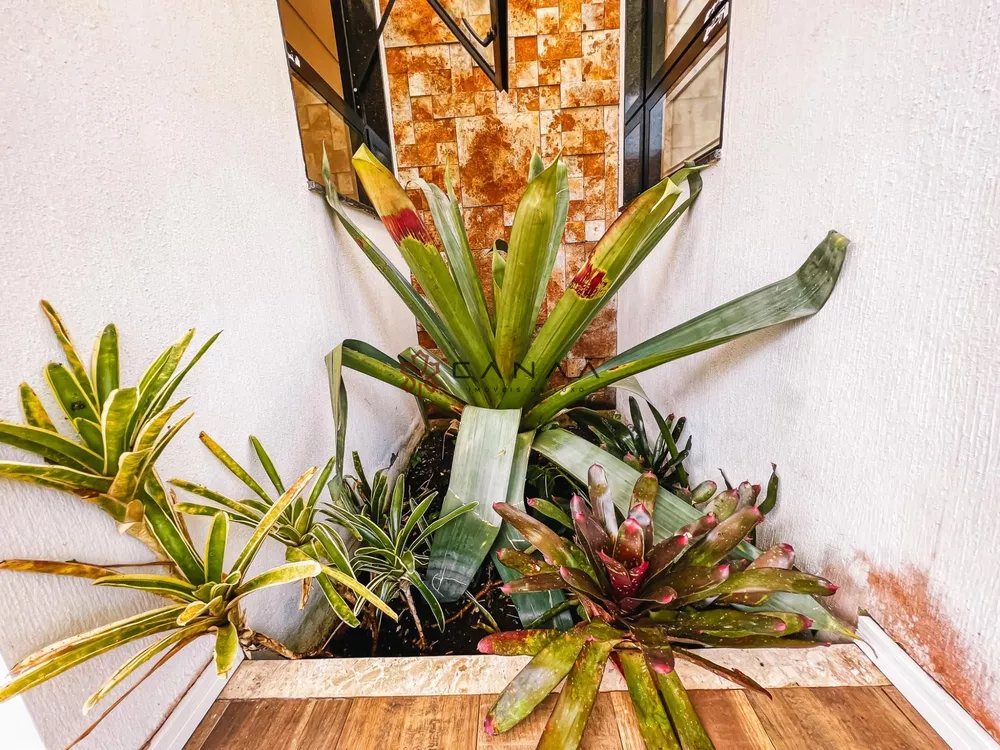Casa de Condomínio, 10 quartos - Foto 100