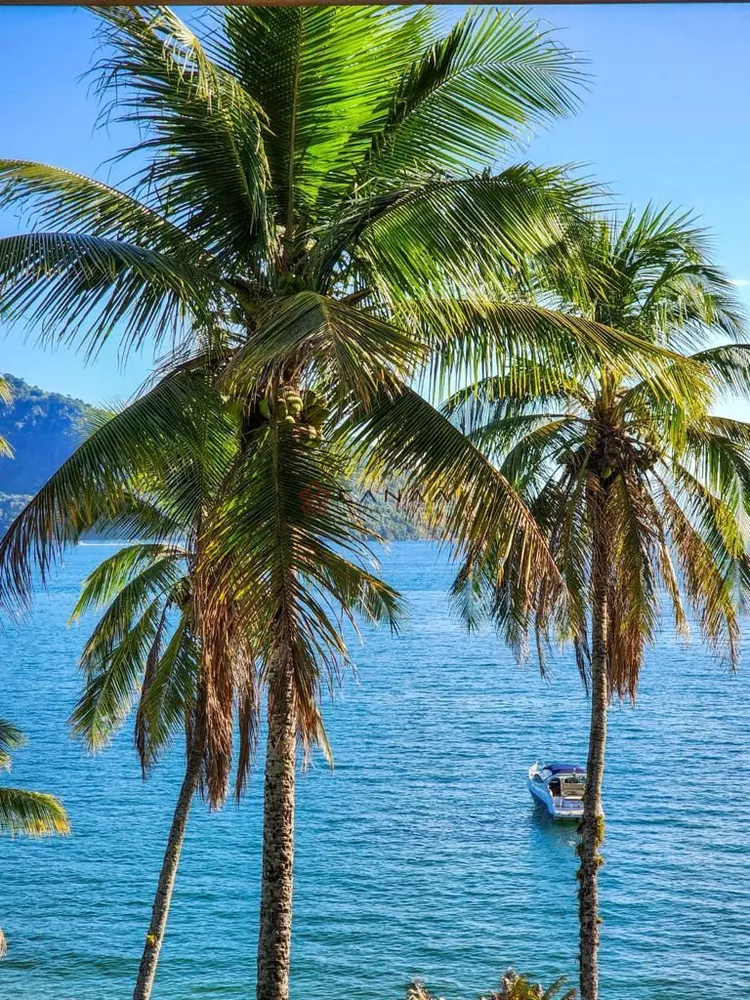 Casa, 10 quartos, 700 m² - Foto 25