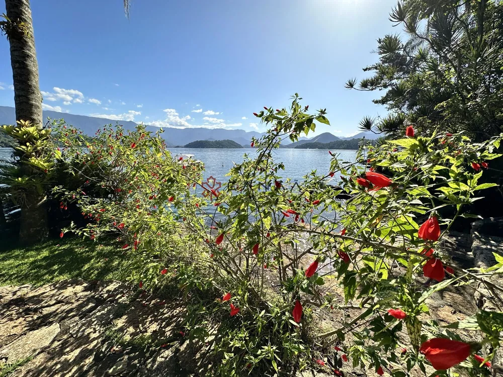 Casa, 6 quartos, 349 m² - Foto 24