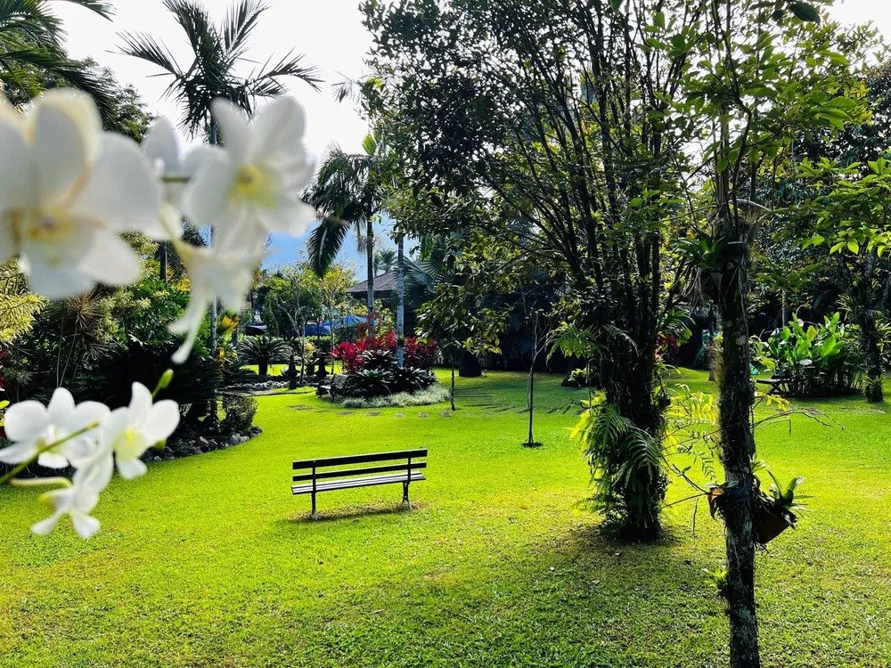 Casa de Condomínio, 5 quartos - Foto 46