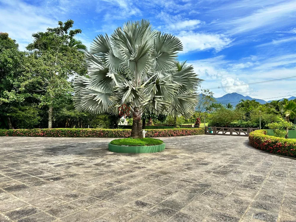 Casa de Condomínio, 12 quartos - Foto 61