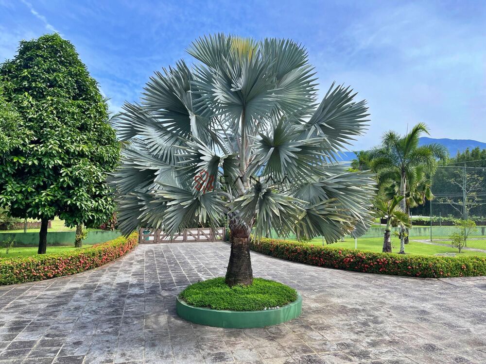 Casa de Condomínio, 12 quartos - Foto 188