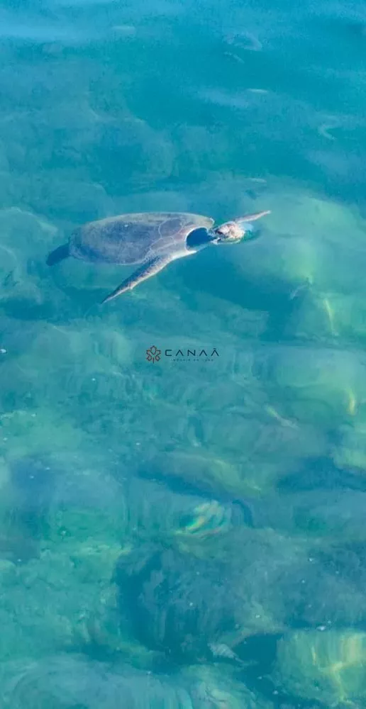 Hotel, 3 quartos, 850 m² - Foto 31