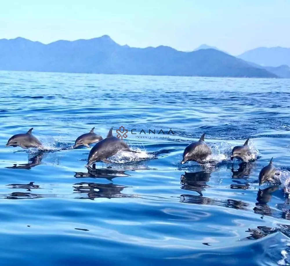 Hotel, 3 quartos, 850 m² - Foto 8