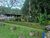 Sítio, 4 quartos, 4 hectares - Foto 11