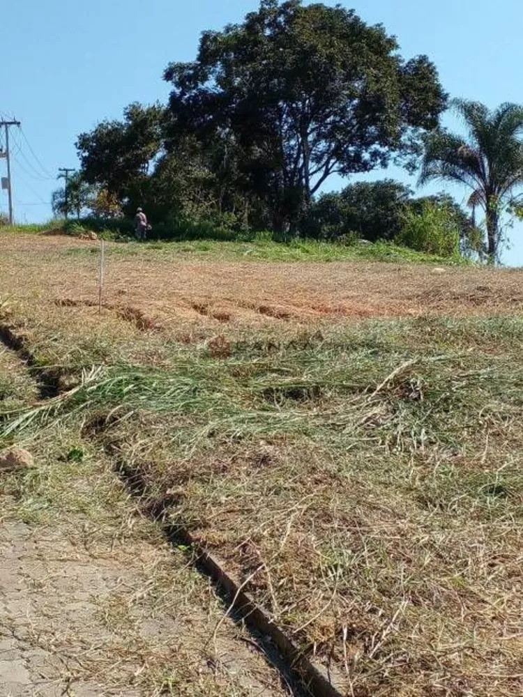 Terreno, 500 m² - Foto 3