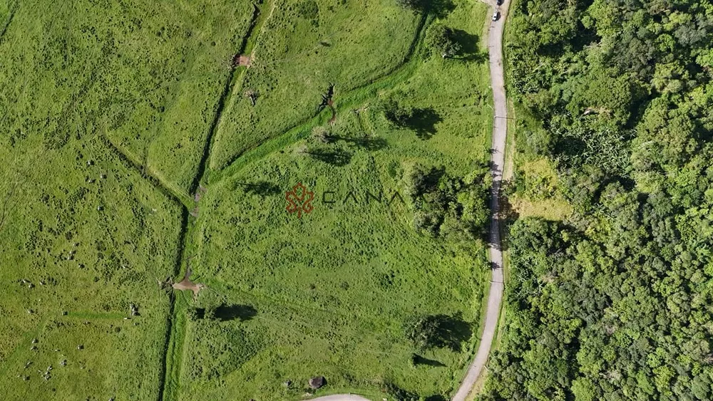 Terreno, 10 hectares - Foto 6