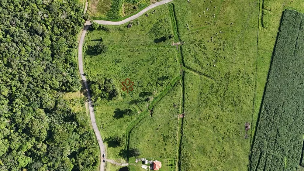 Terreno, 10 hectares - Foto 9