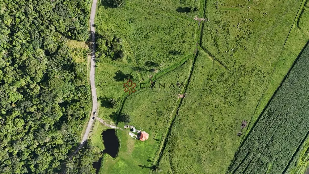 Terreno, 10 hectares - Foto 5