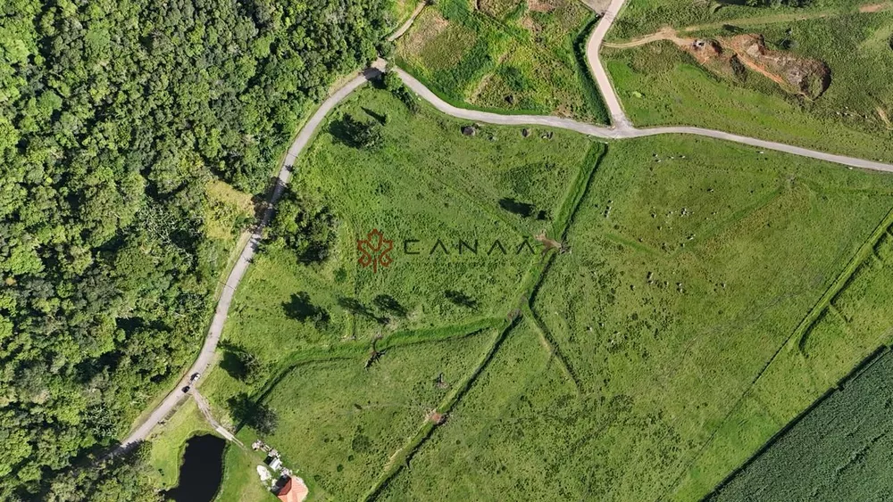 Terreno, 10 hectares - Foto 7