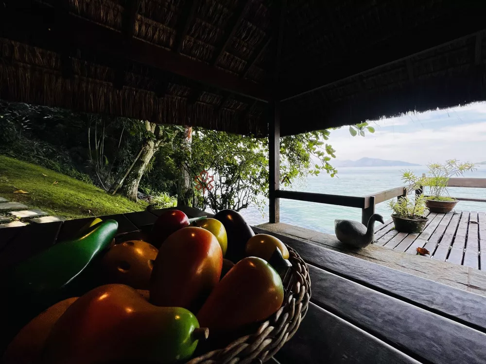 Casa, 5 quartos, 450 m² - Foto 69