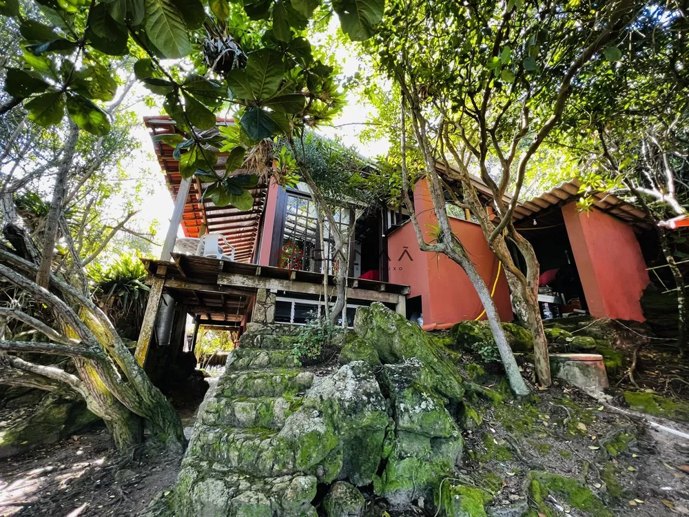 Casa, 4 quartos, 700 m² - Foto 58