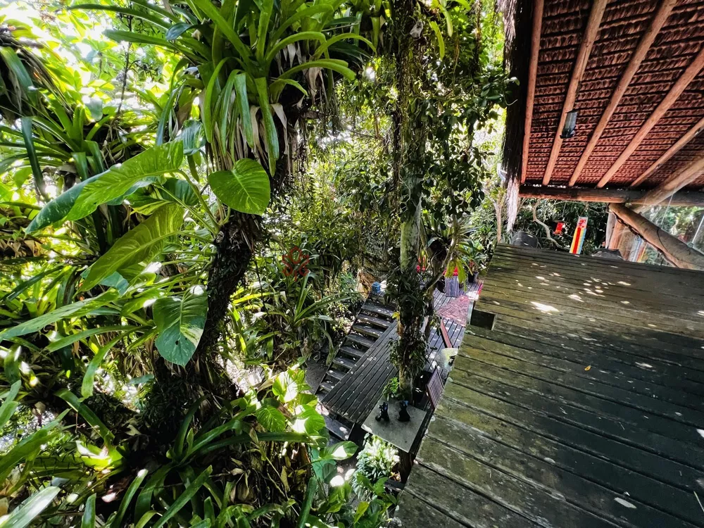 Casa, 4 quartos, 700 m² - Foto 103