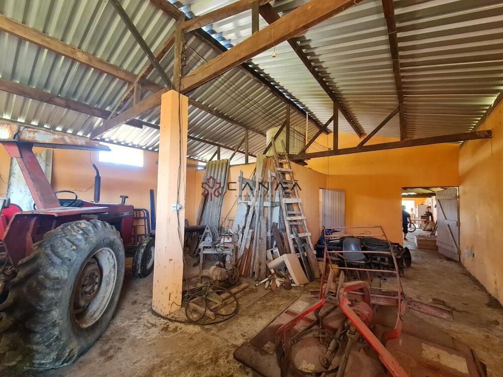 Fazenda-Sítio-Chácara, 252 hectares - Foto 13